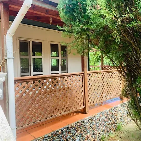 Willa Villa