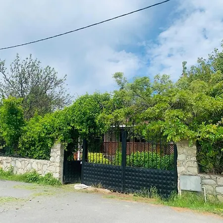 Villa Willa