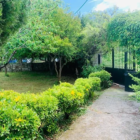 Willa Villa